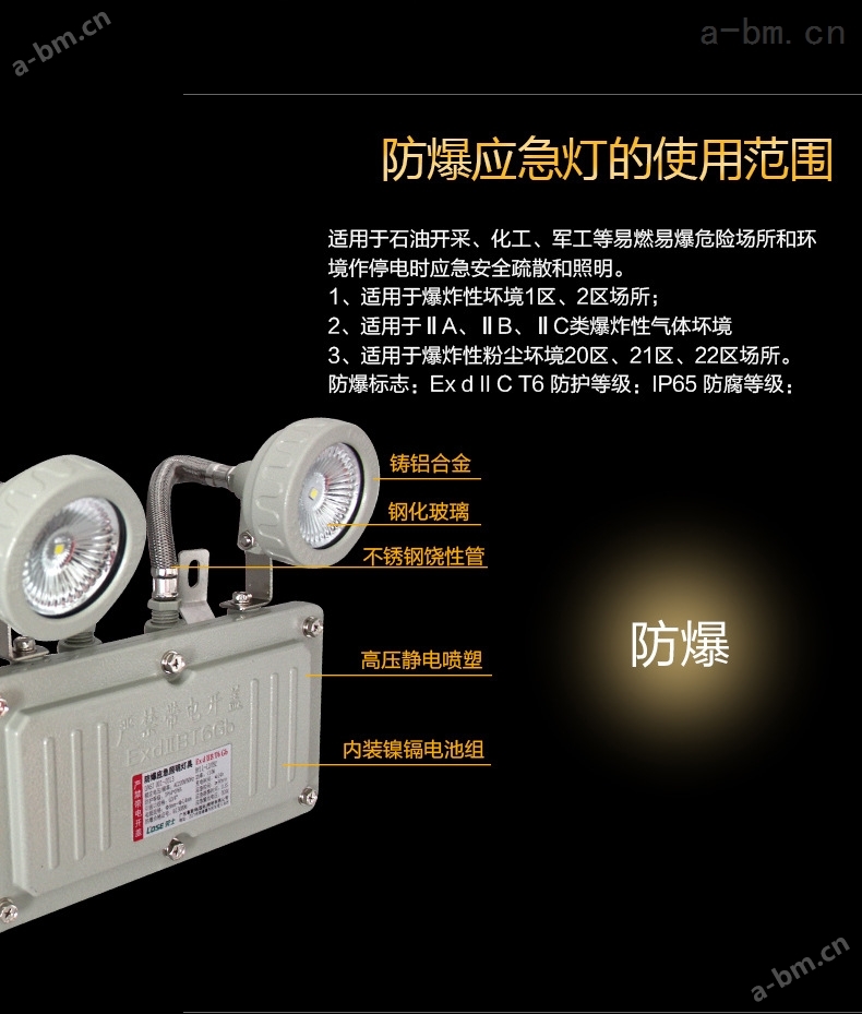 BAJ52系列LED防爆应急灯 双头应急防爆灯